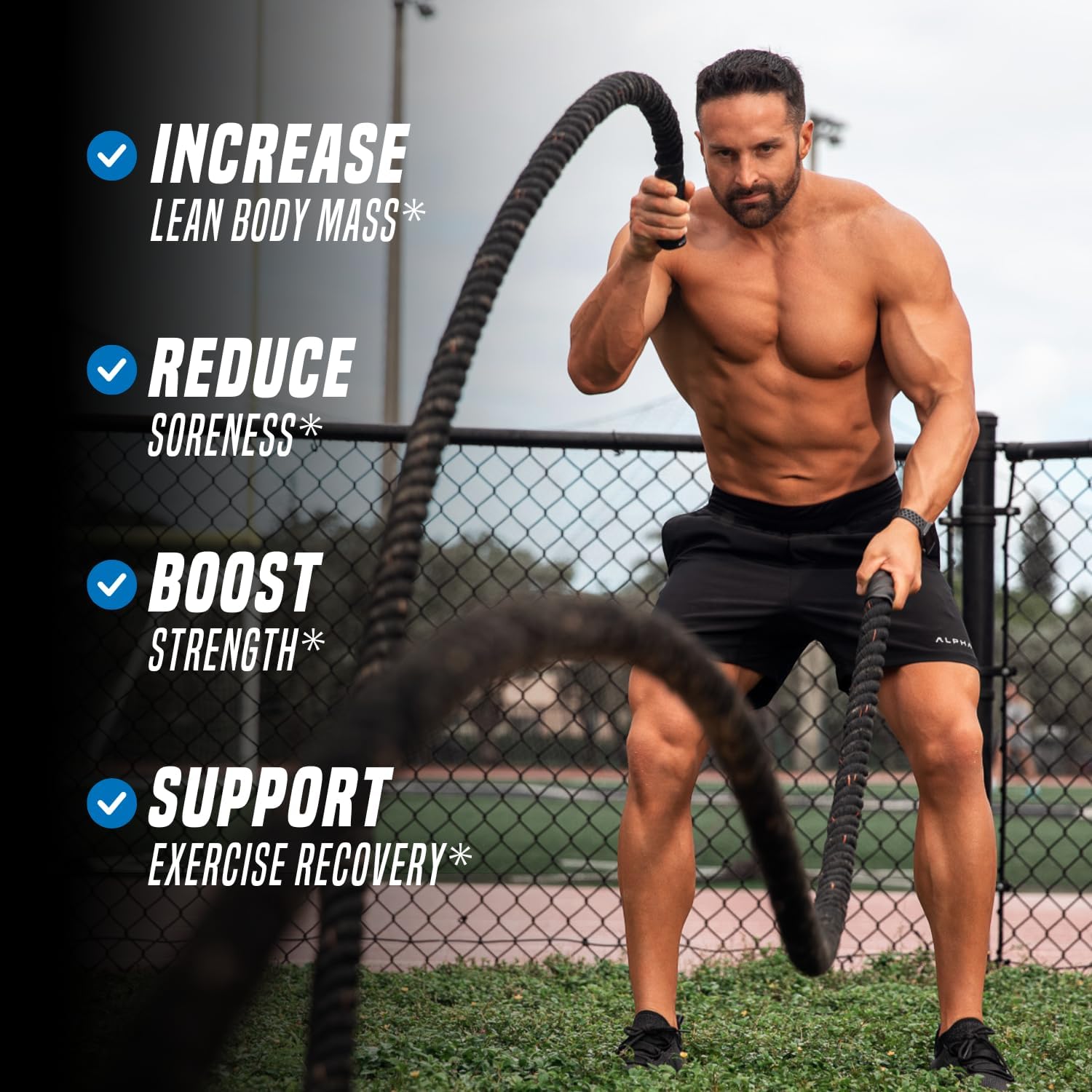 Post Workout Recovery Powder - Creatine Monohydrate, KSM-66 Ashwagandha & Tart Cherry - Speeds Recovery, Eases Soreness - Creatine Powder for Men & Women, Berry Splash, 240 Gr